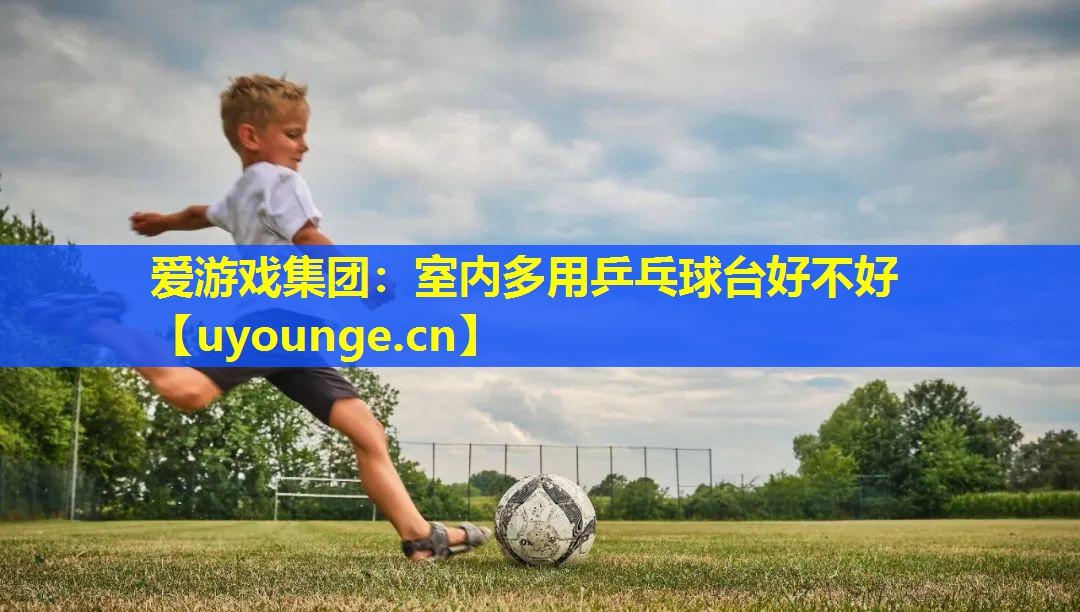 爱游戏集团：室内多用乒乓球台好不好