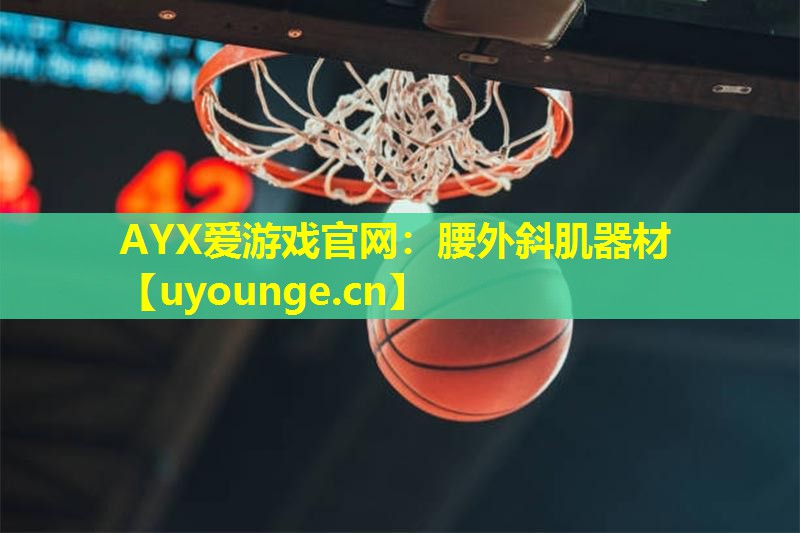 AYX爱游戏官网：腰外斜肌器材