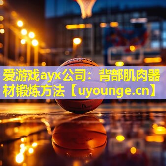 爱游戏ayx公司：背部肌肉器材锻炼方法