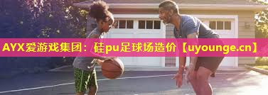 AYX爱游戏集团：硅pu足球场造价