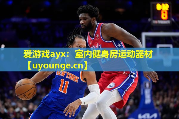 爱游戏ayx：室内健身房运动器材