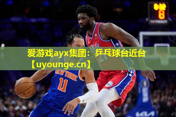 爱游戏ayx集团：乒乓球台近台