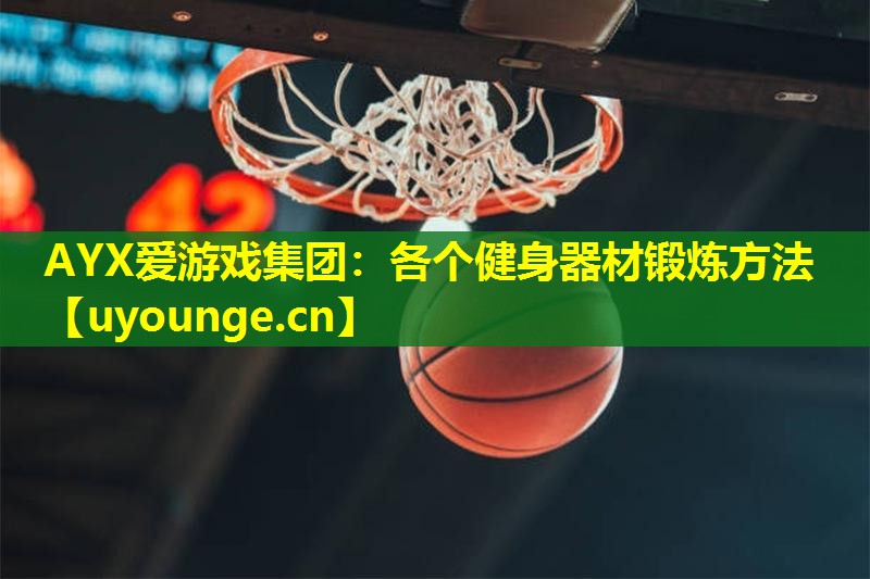 AYX爱游戏集团：各个健身器材锻炼方法