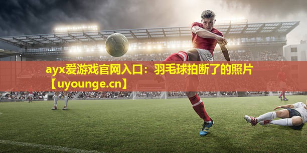 ayx爱游戏官网入口：羽毛球拍断了的照片