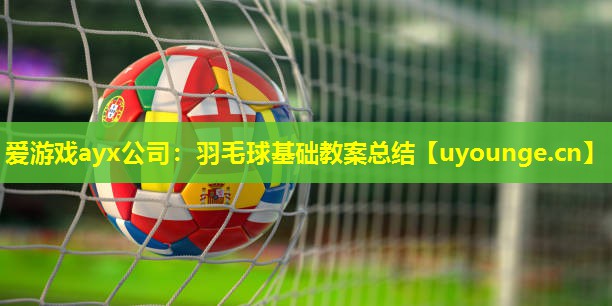 爱游戏ayx公司：羽毛球基础教案总结