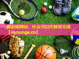 爱游戏网站：什么可以代替羽毛球