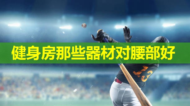 健身房那些器材对腰部好 健身房那些器材对腰部好
