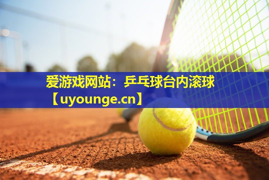 乒乓球台内滚球 乒乓球台内滚球