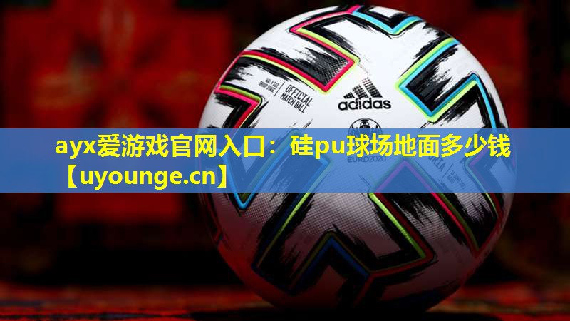 硅pu球场地面多少钱 硅pu球场地面多少钱