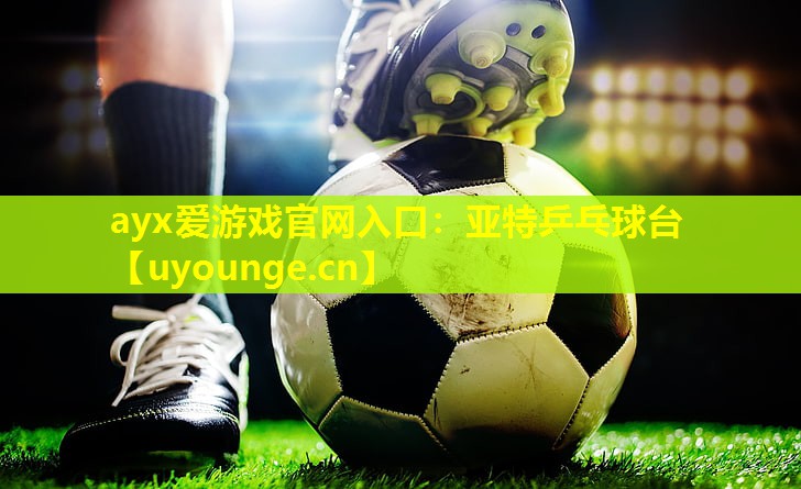 亚特乒乓球台 亚特乒乓球台