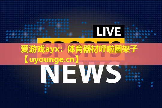 体育器材呼啦圈架子 体育器材呼啦圈架子
