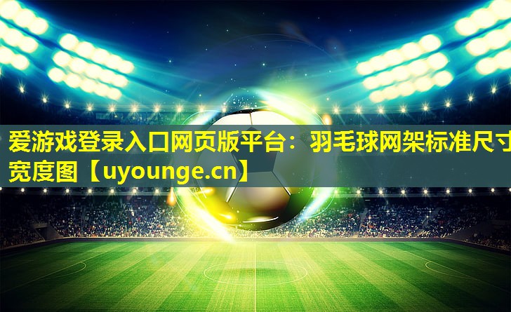 羽毛球网架标准尺寸宽度图 羽毛球网架标准尺寸宽度图