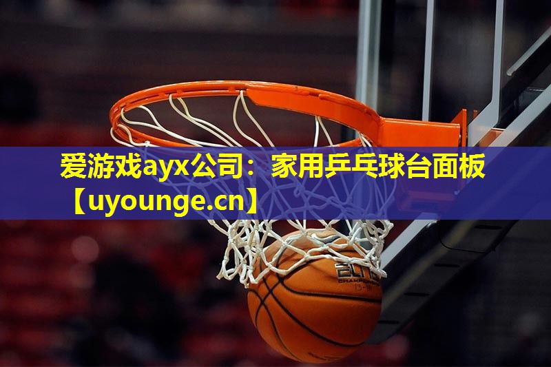 家用乒乓球台面板 家用乒乓球台面板