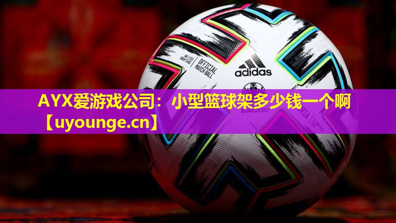 小型篮球架多少钱一个啊 小型篮球架多少钱一个啊